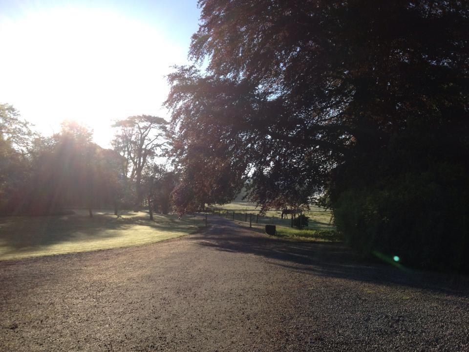 Clonacody House Guest House Clonmel Luaran gambar